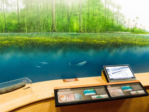 Floating Forest exhibit